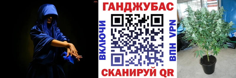 мега рабочий сайт  купить закладку  Карачев  Конопля семена 